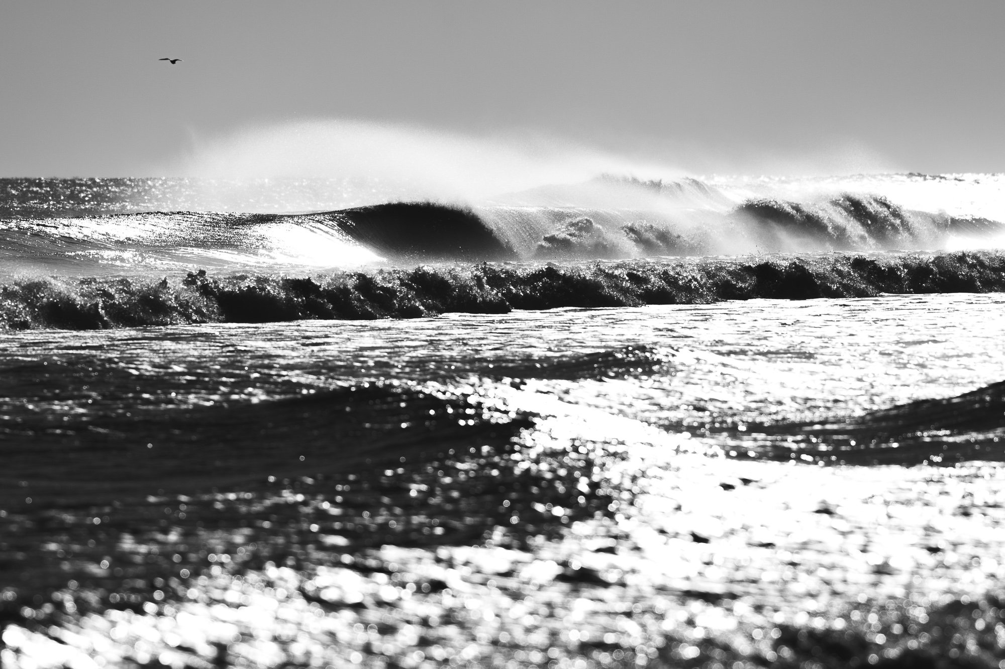Conway_NJ_bayhead-9214-2.jpg