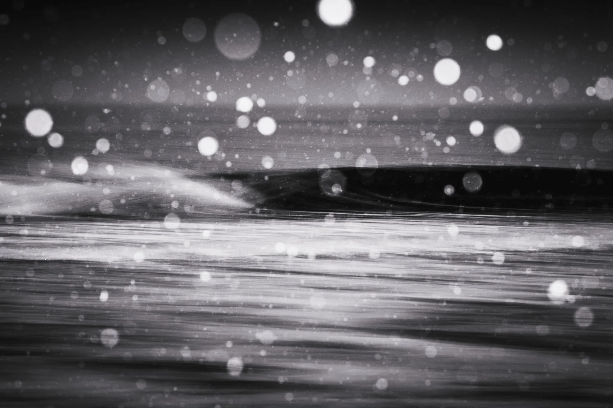NYWinter_ECON-7752-Editbw.jpg