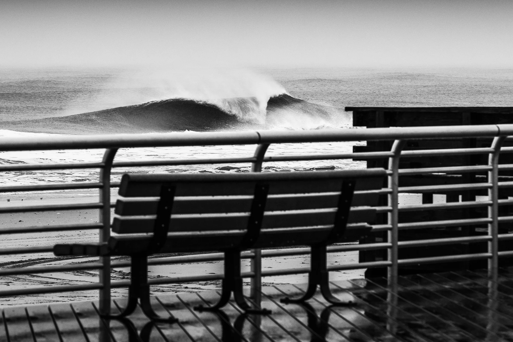 Econ_Winter_NY-4519-Edit.jpg