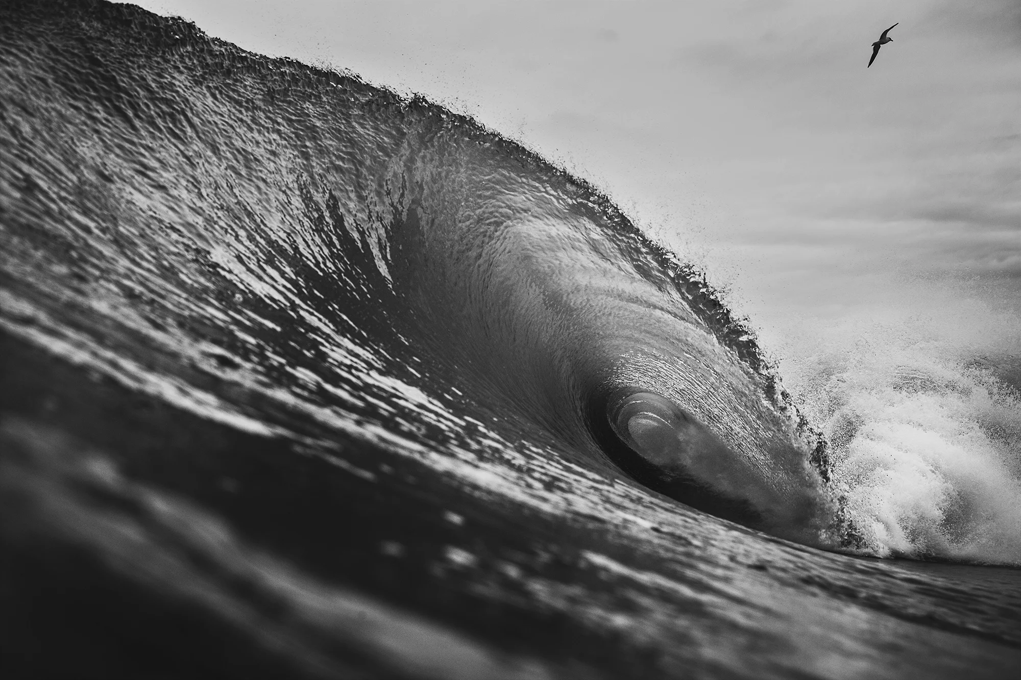 UltraFroth_ripDM-8740.jpg