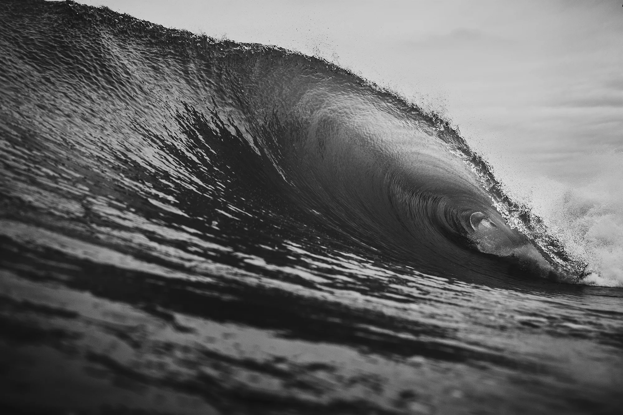 UltraFroth_ripDM-8739.jpg