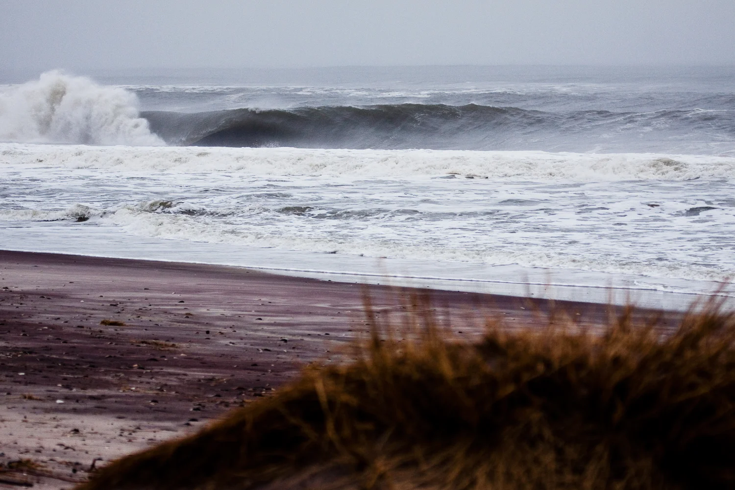 Conway_LongIsland_NewYork-4174.jpg