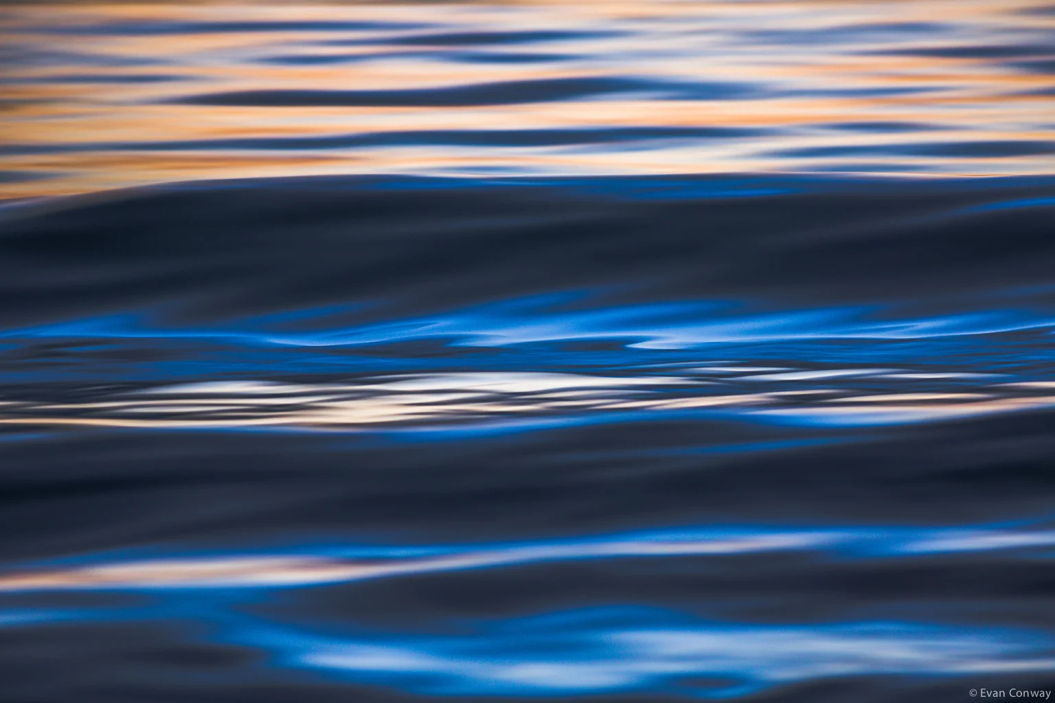 Evan_Conway_California_Colors_Fall20133.jpg