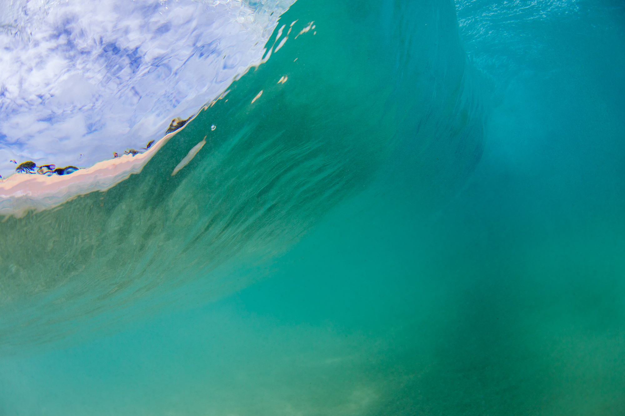 Hawaii-1184.jpg