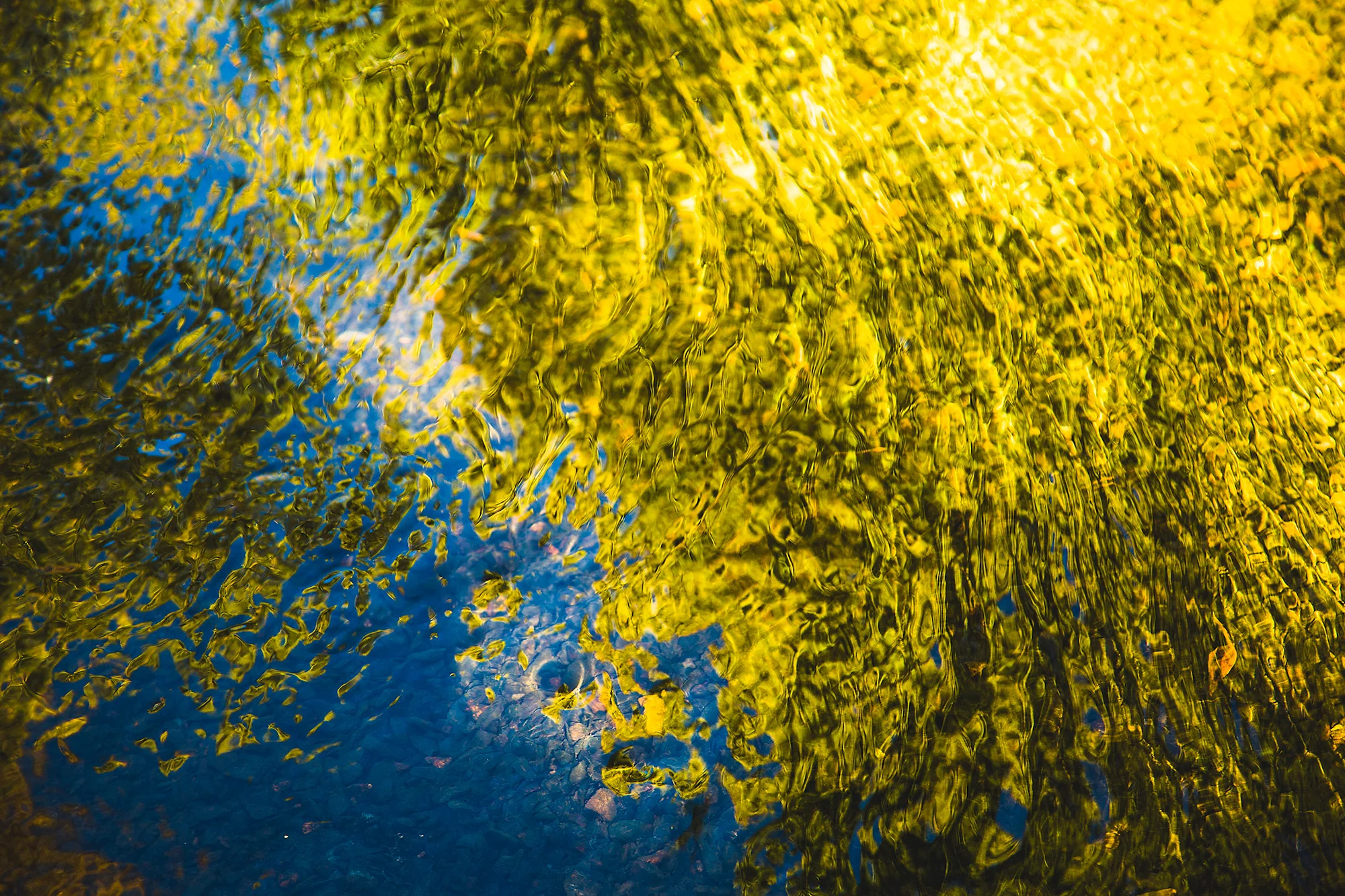 NatureTrip-3498.jpg