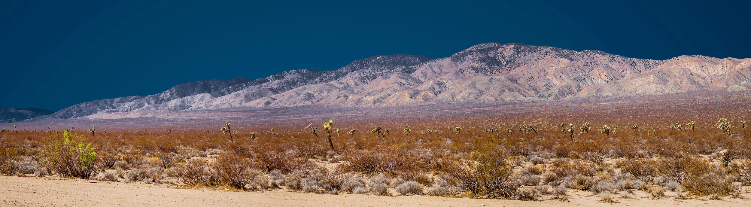 mojavepanountitled-shoot-4014.jpg