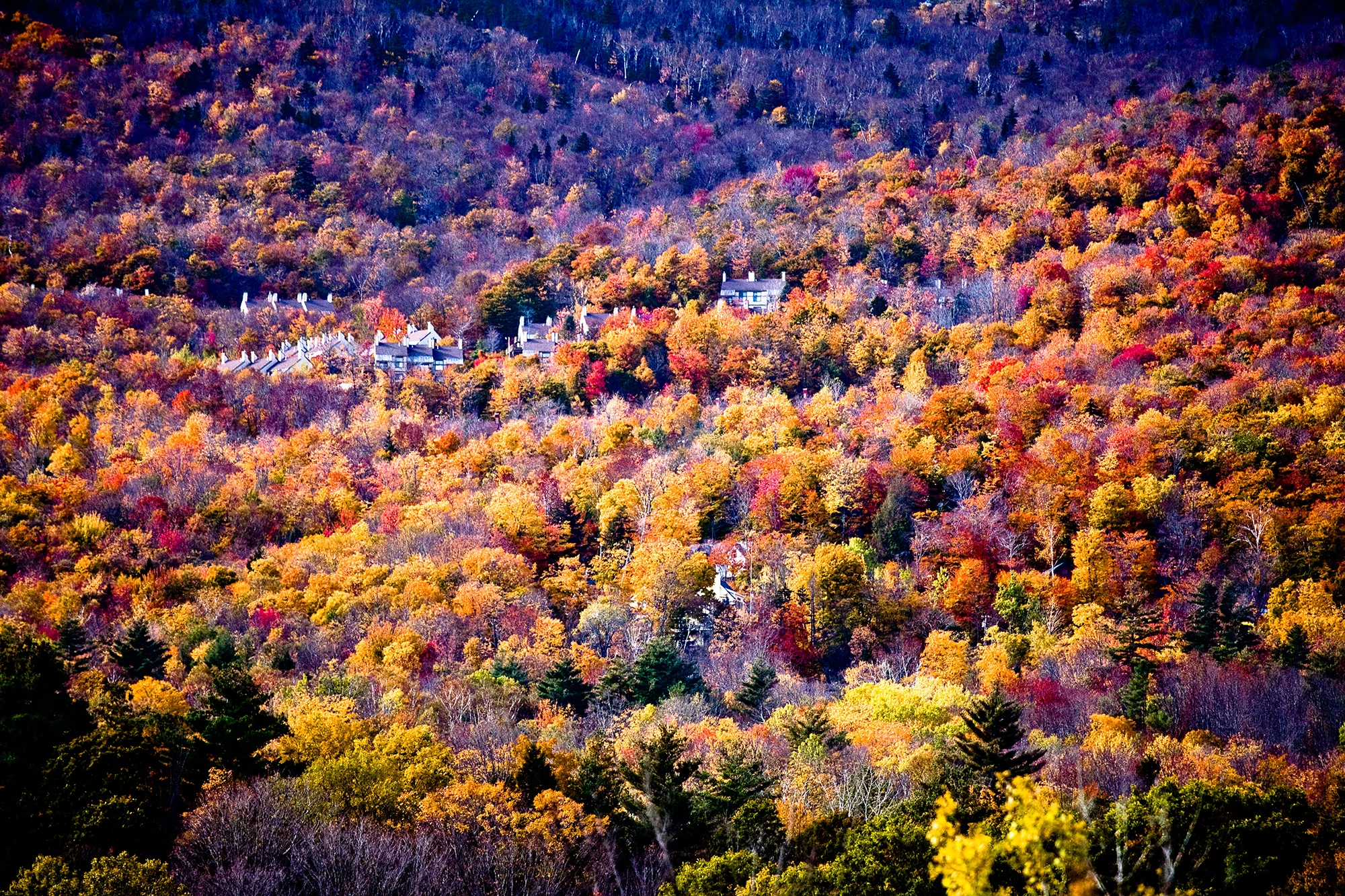 Vermont-2800.jpg