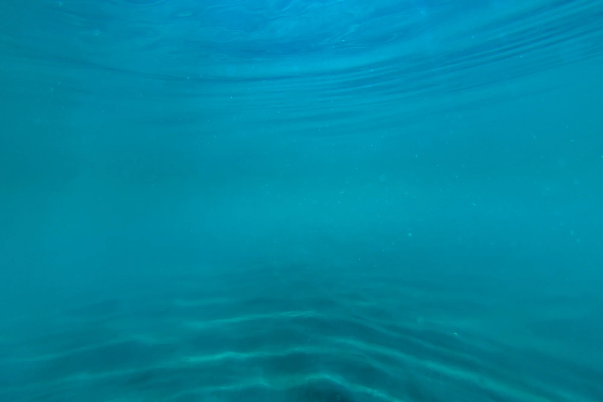 Econ_NY_Aerial-2616.jpg