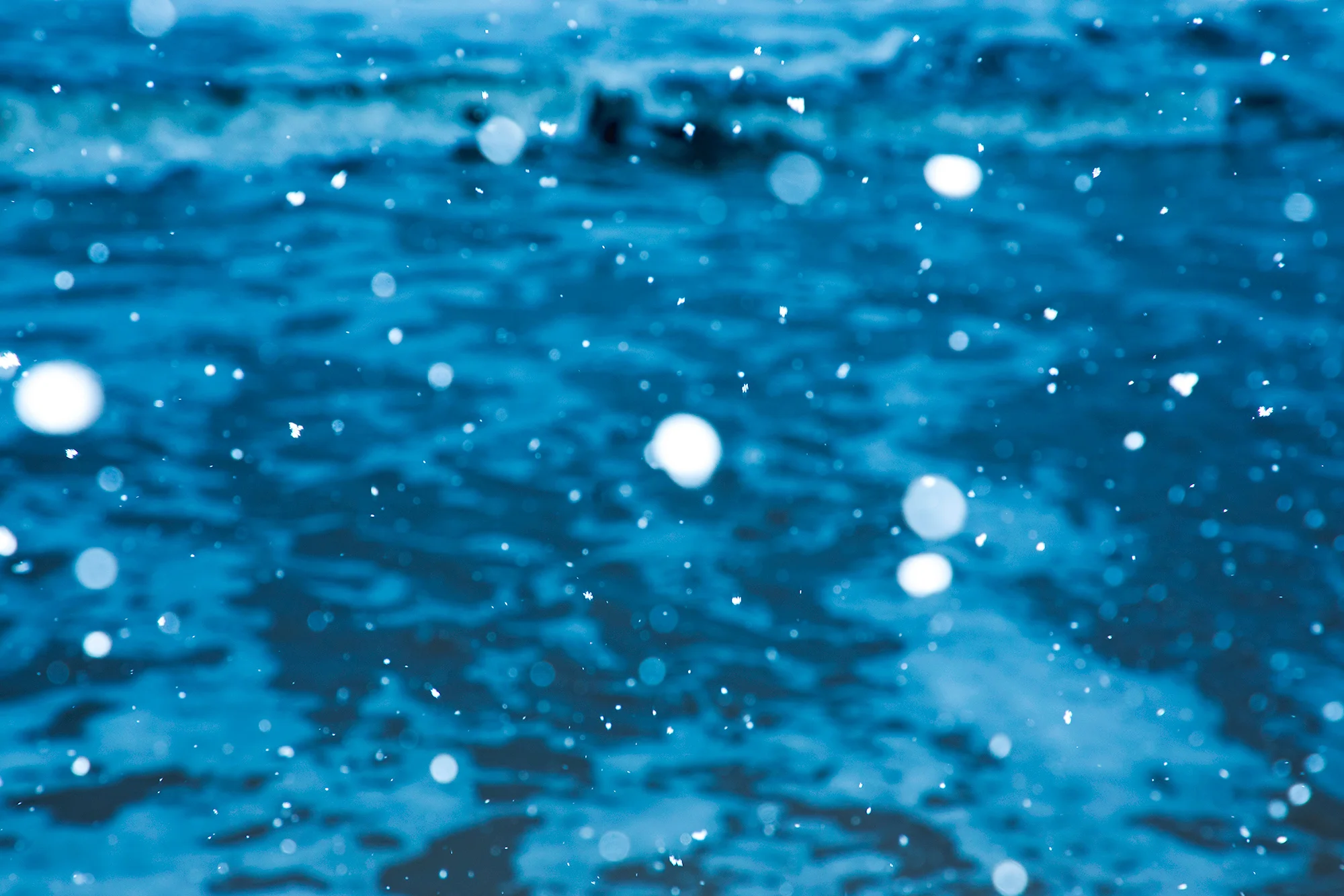 Snow_171214_5816_.jpg