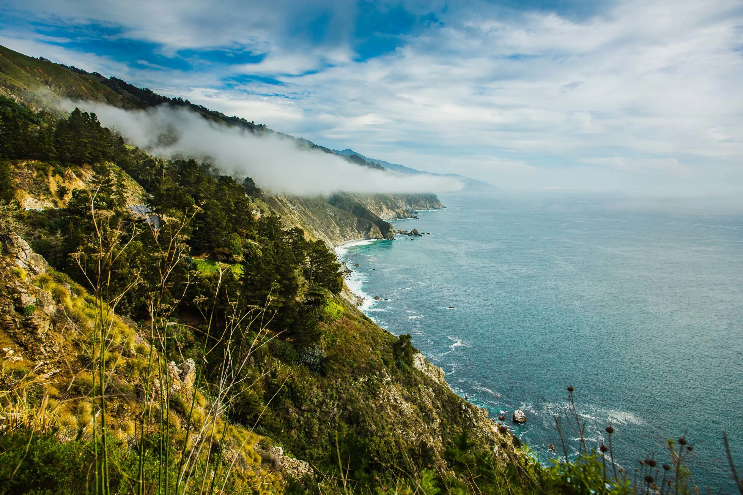 ECON_CA_Channel_Islands-8247.jpg