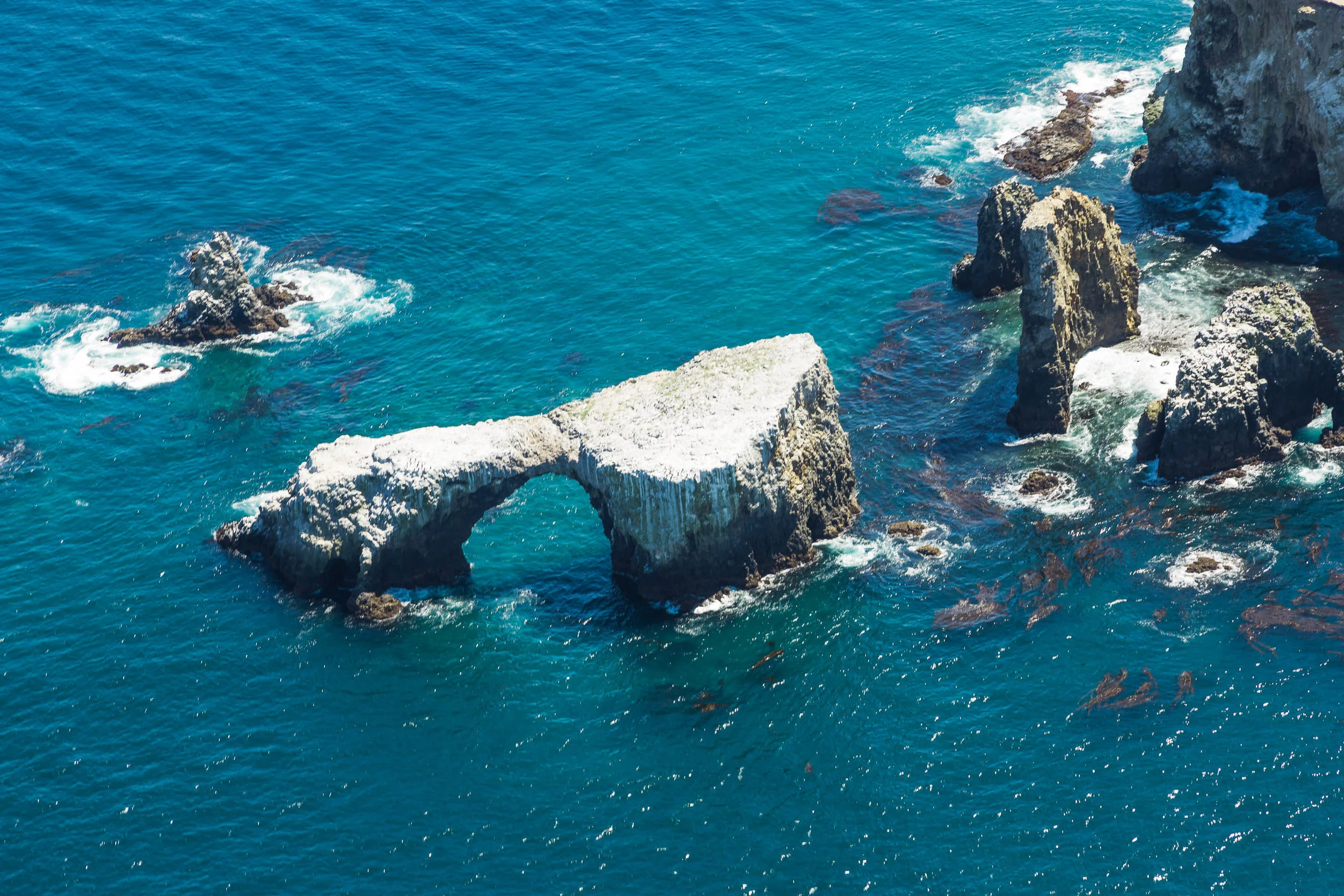 ECON_CA_Channel_Islands-46.jpg
