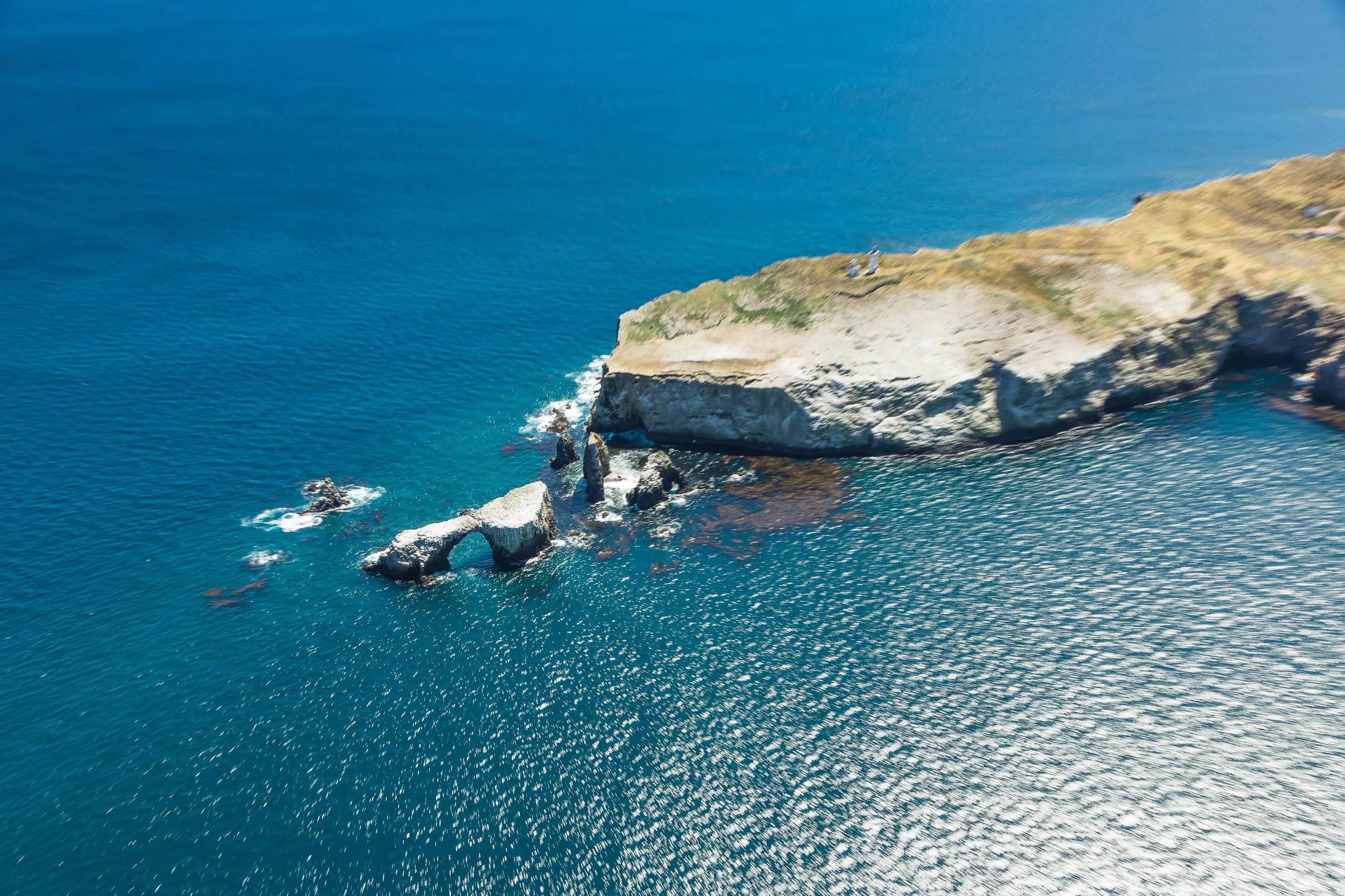 ECON_CA_Channel_Islands-45.jpg
