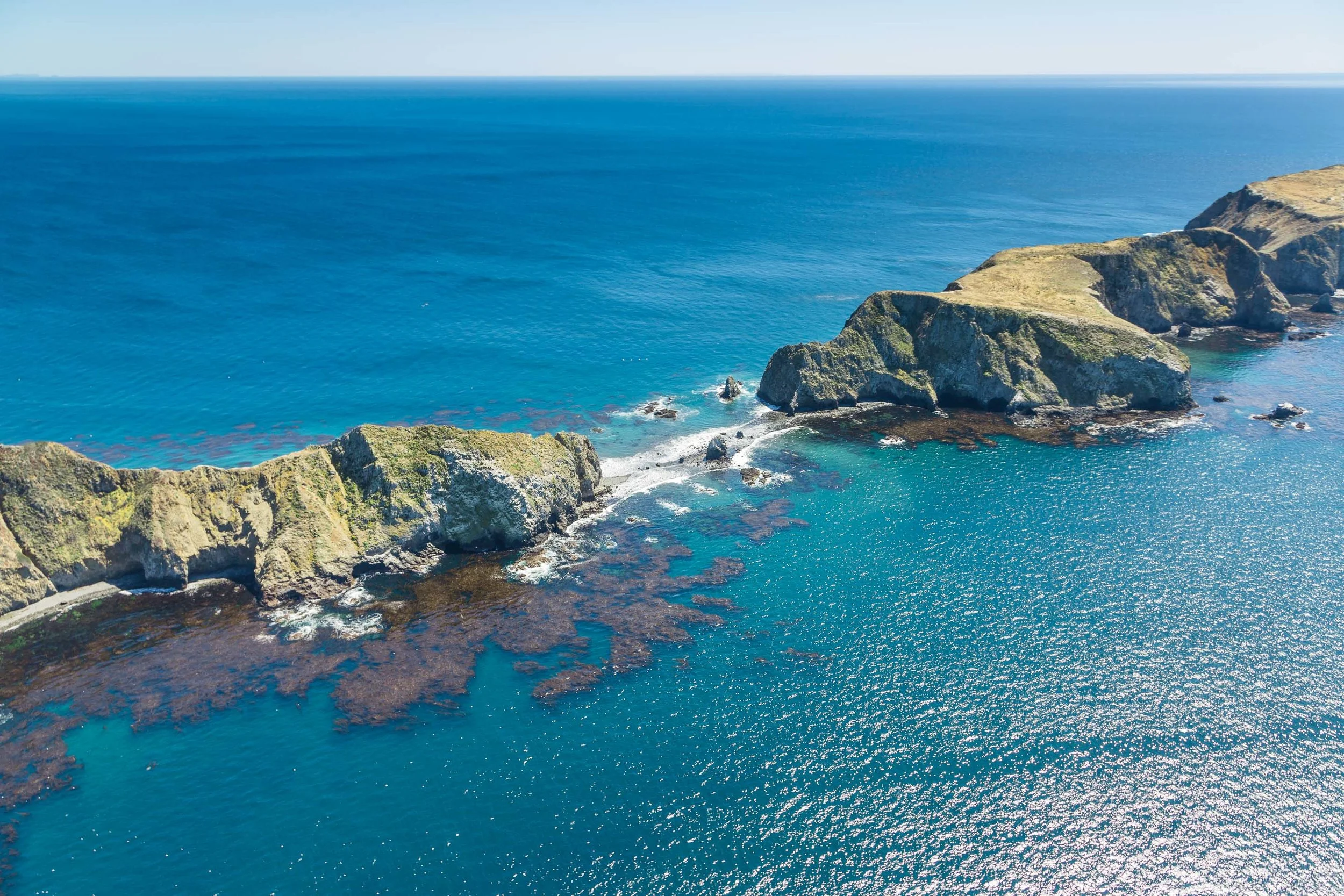 ECON_CA_Channel_Islands-51.jpg