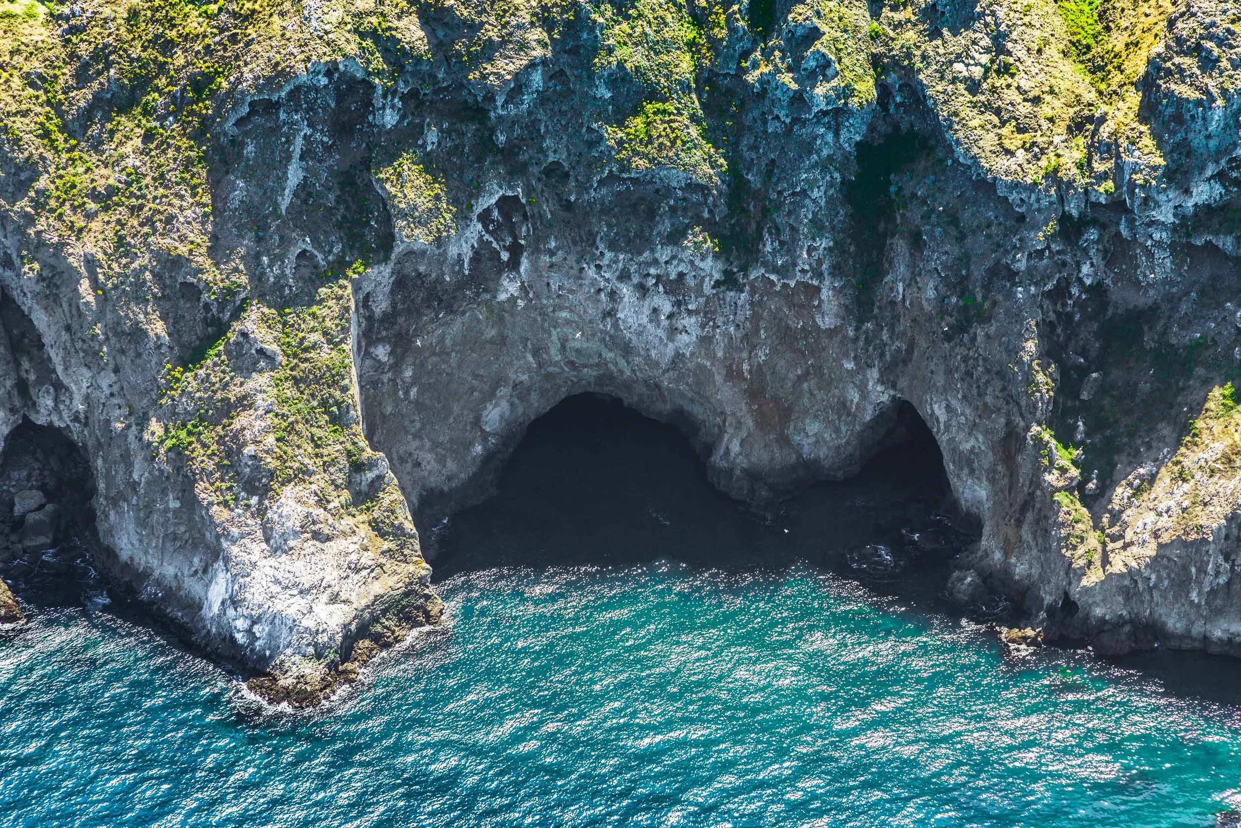 ECON_CA_Channel_Islands-73.jpg