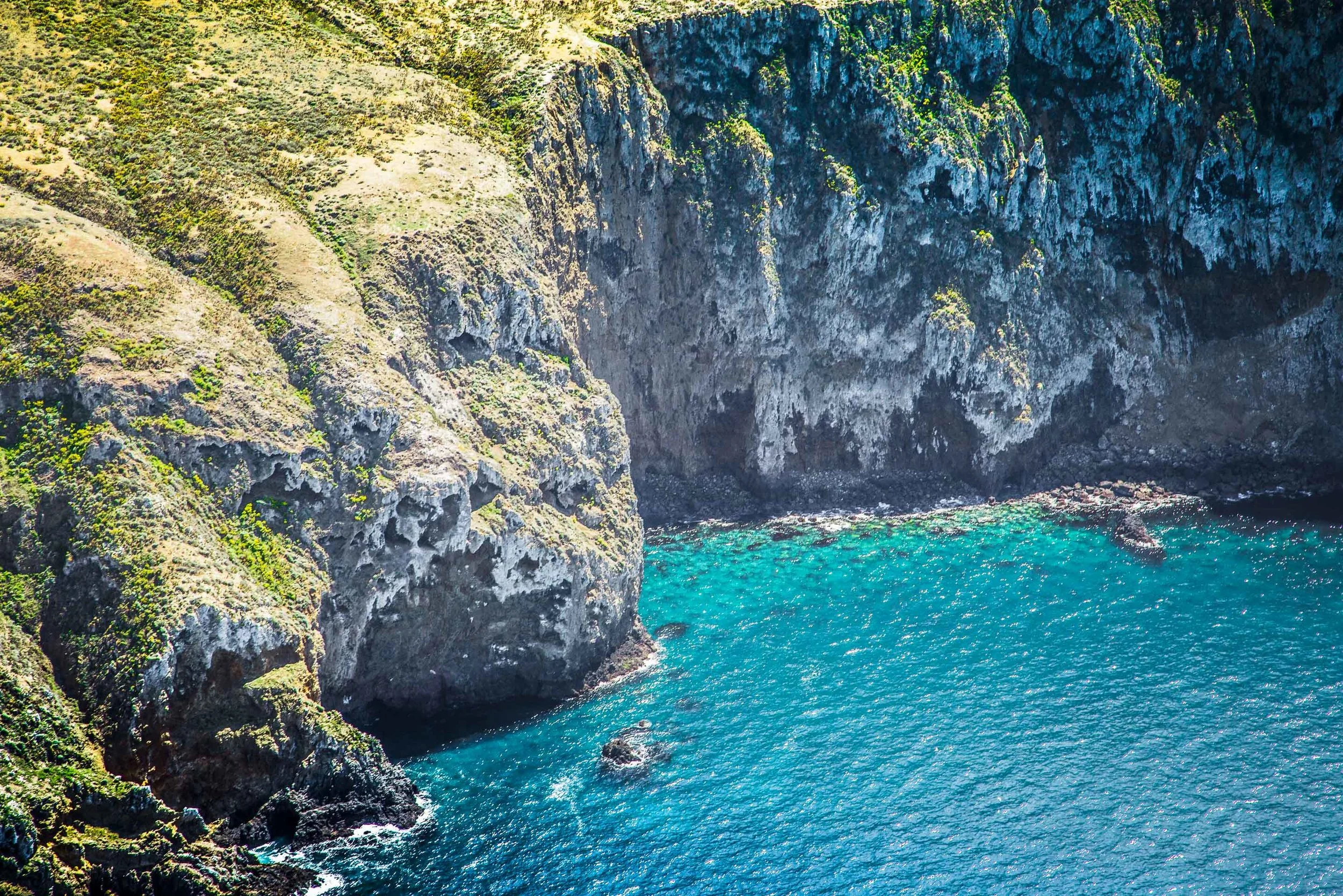ECON_CA_Channel_Islands-82.jpg