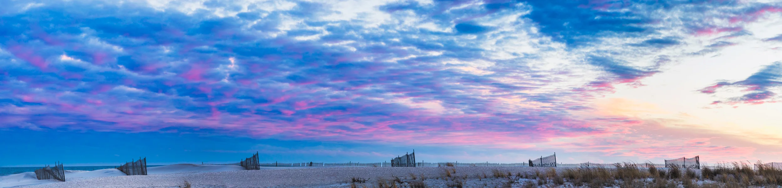WinterNY_Econ-5423-Pano_.jpg