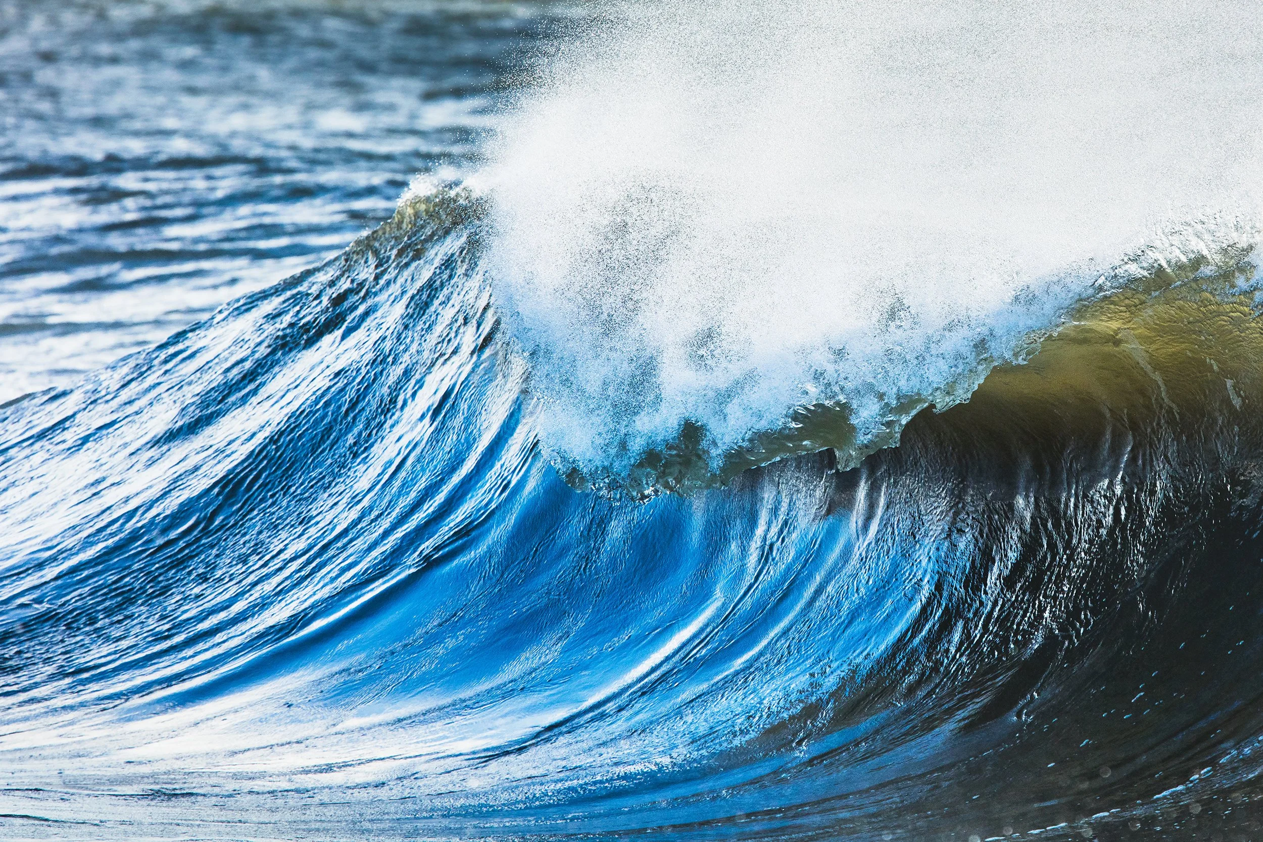 Econ_NY_Oct_5DSR-0230_Ocean_PartII_web.jpg