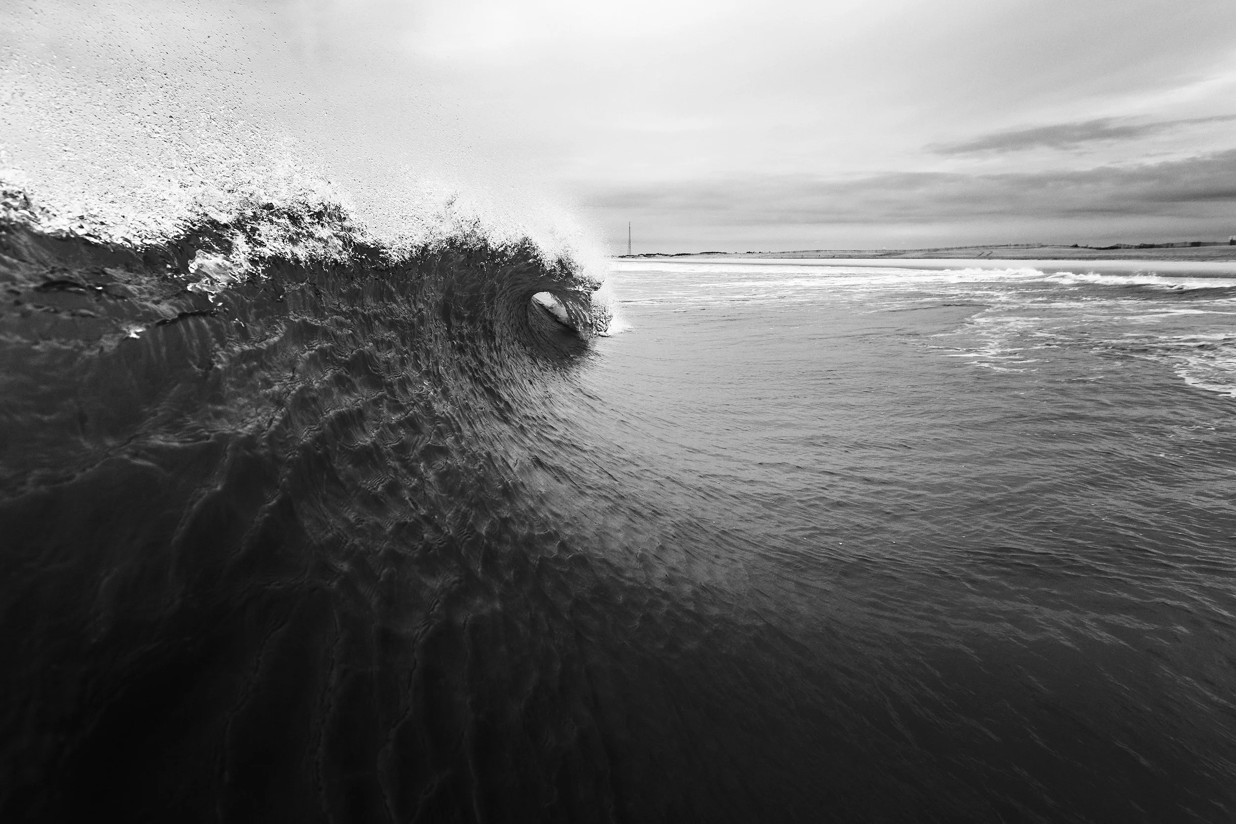 moedoe-0635flip.jpg
