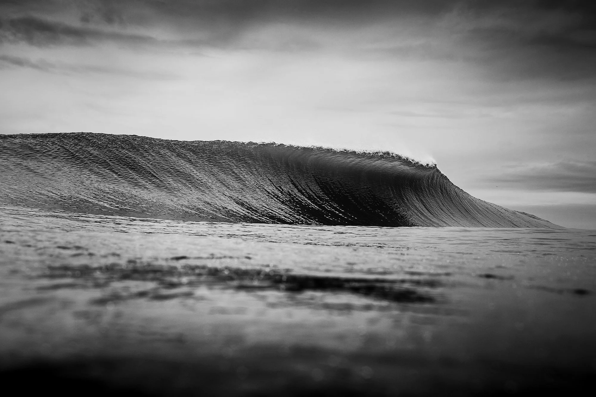 UltraFroth_ripDM-8833.jpg