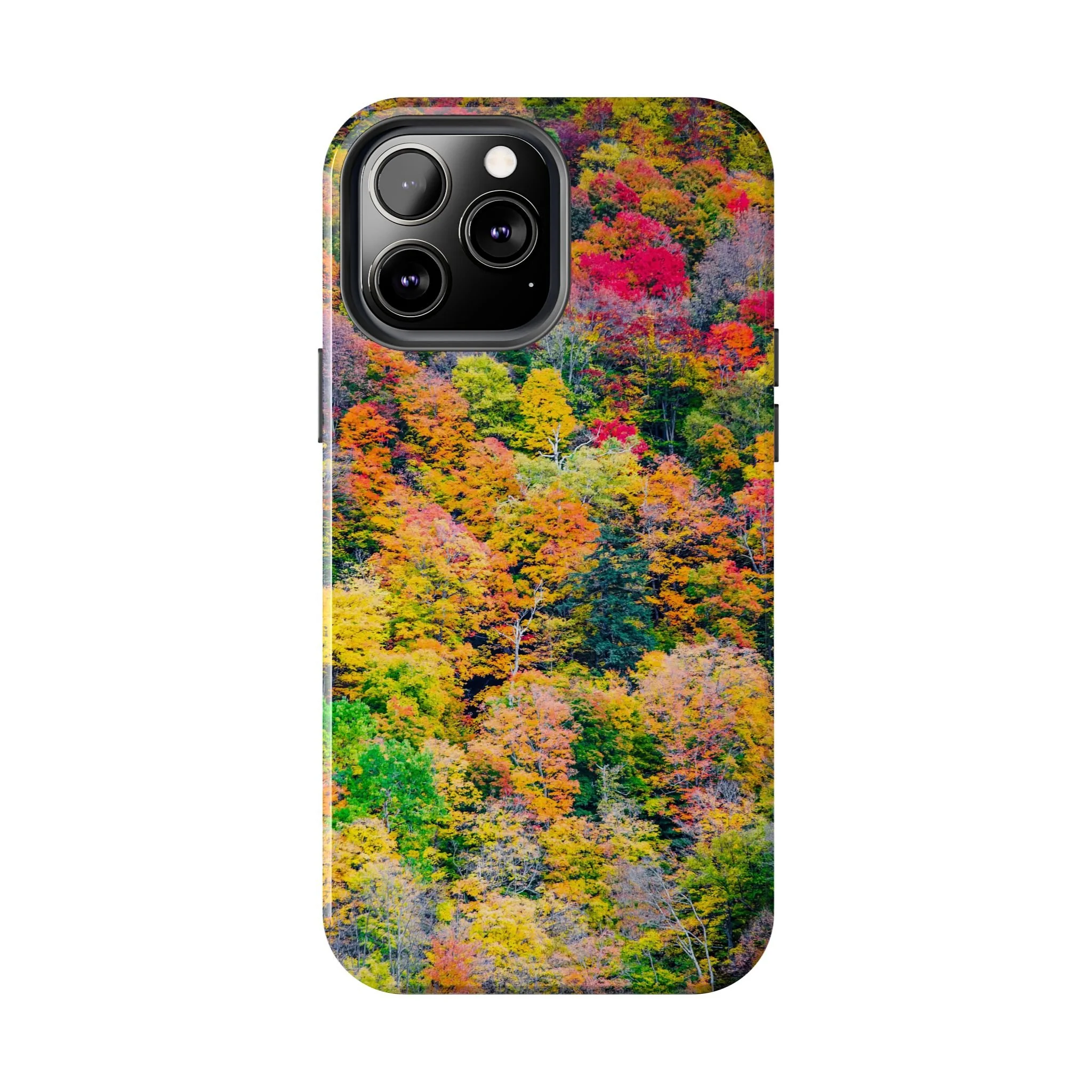 ef05aa4738122d217c2211c1b85043c8