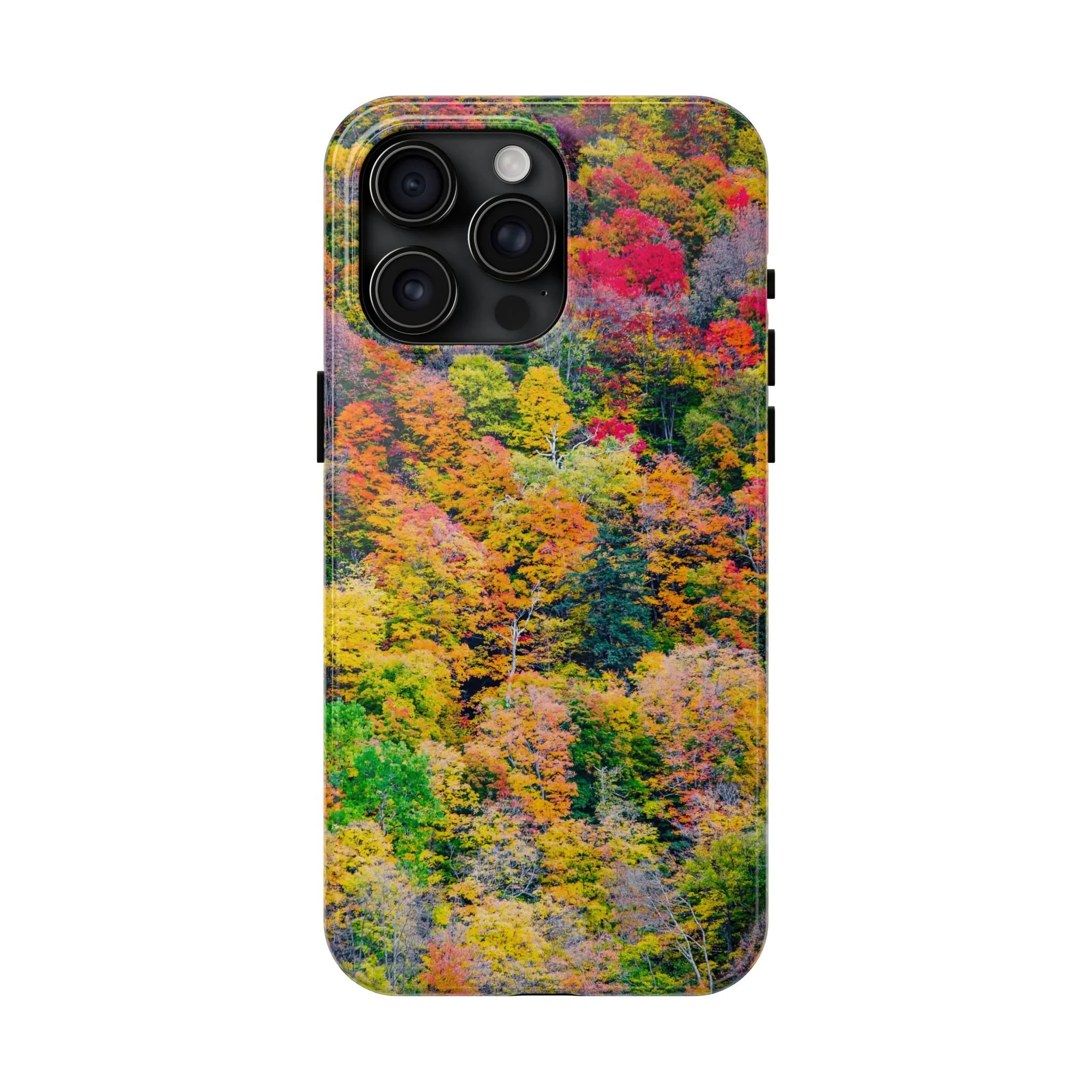 a17d3702ccadb28410172eb58939288b