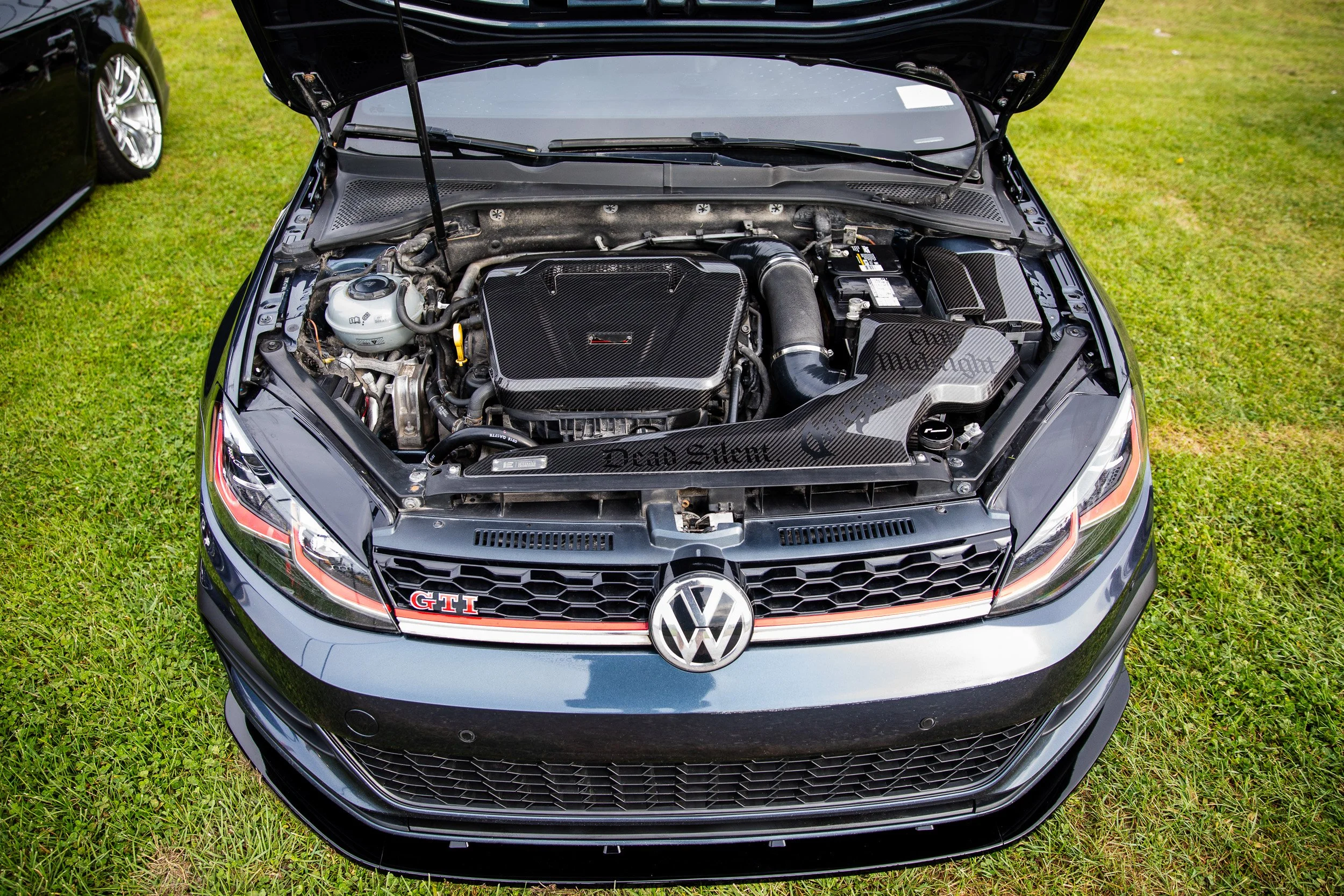 vw-6257.jpg
