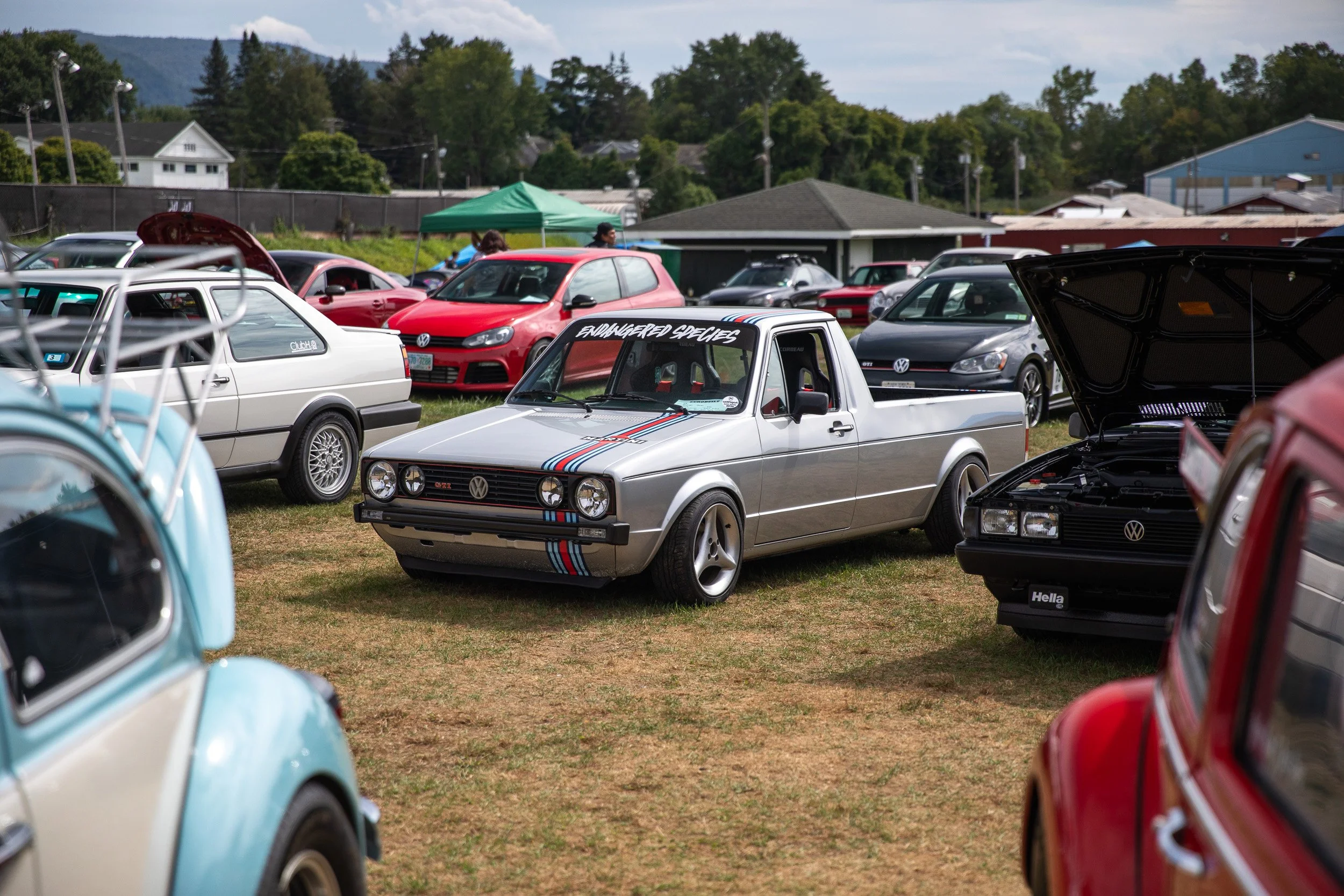 vw-6494.jpg