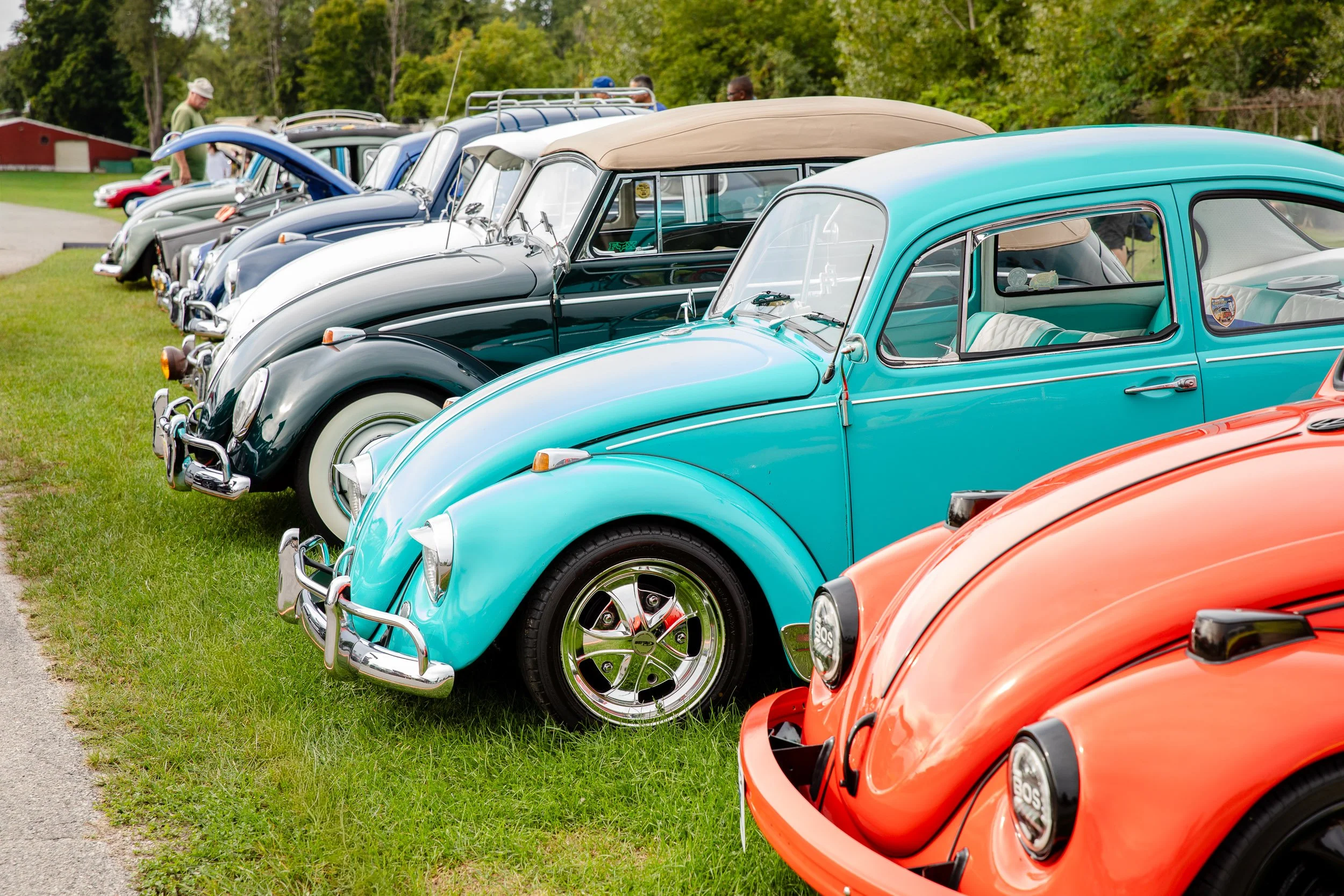 VWBugg-6261.jpg