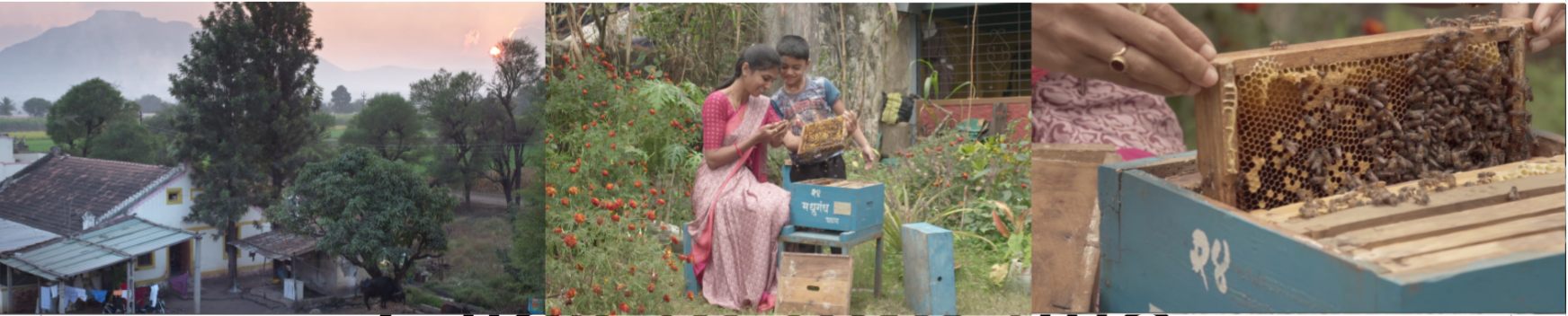 Screenshot 2021-07-15 at 4.39.12 PM.png