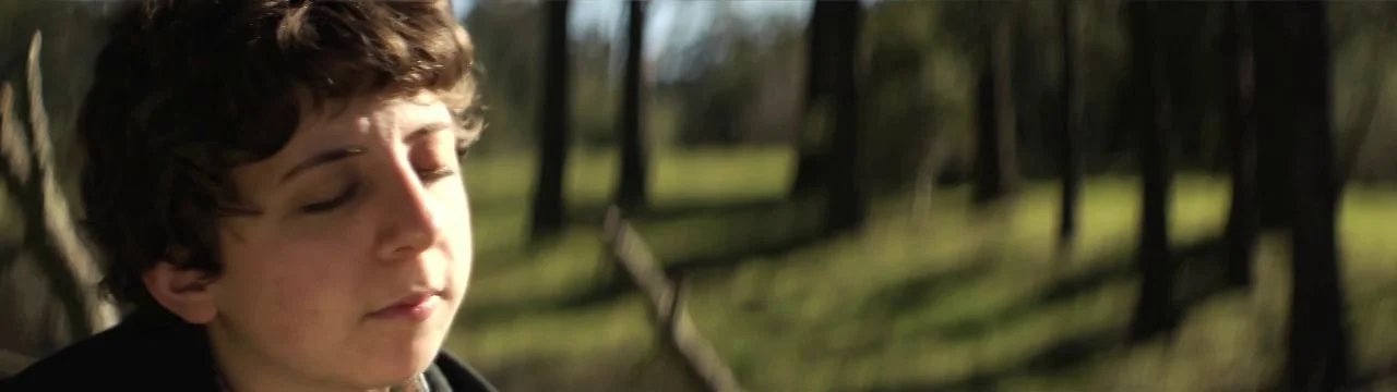 Baby Birch (Cover)