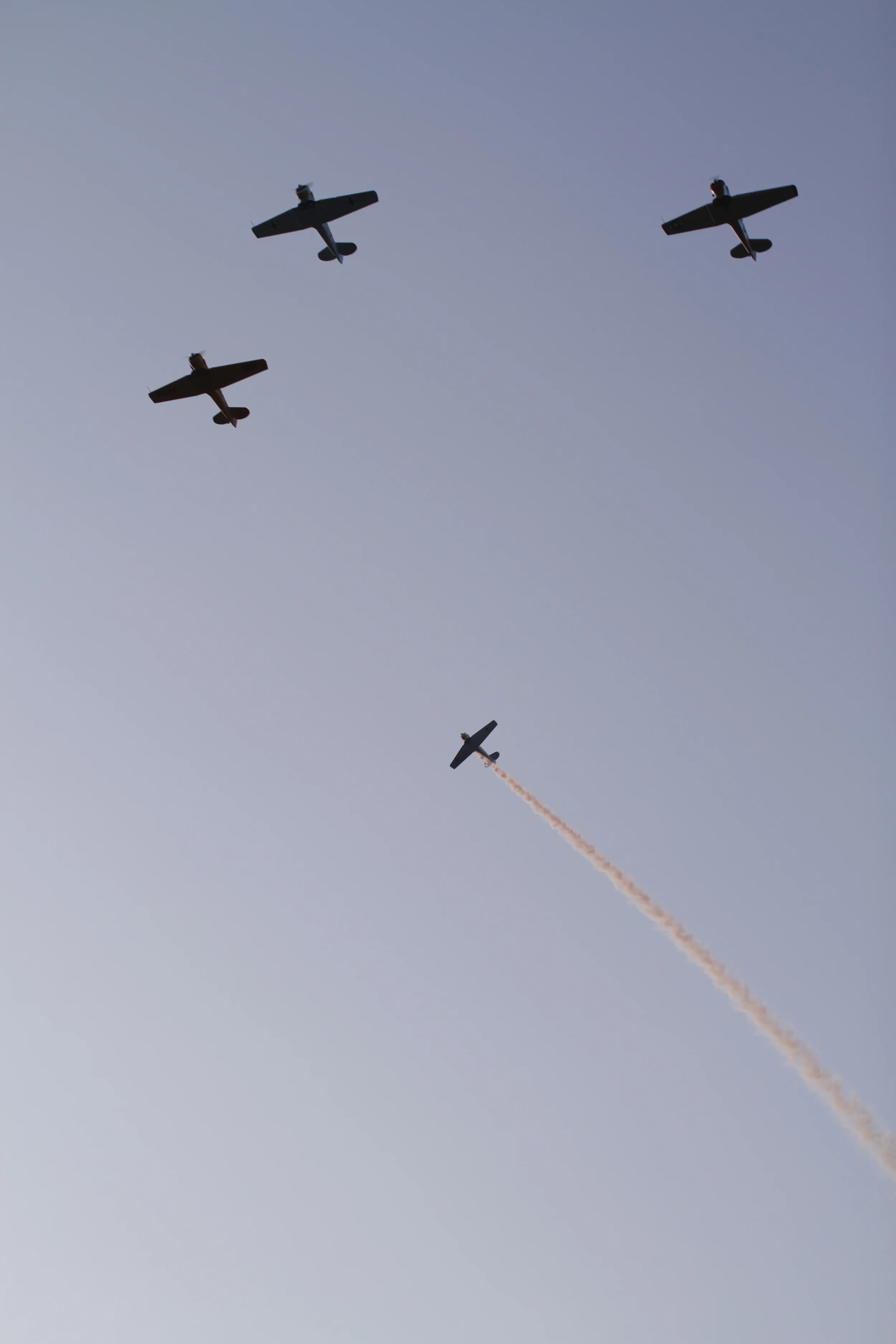 _MG_7080.JPG