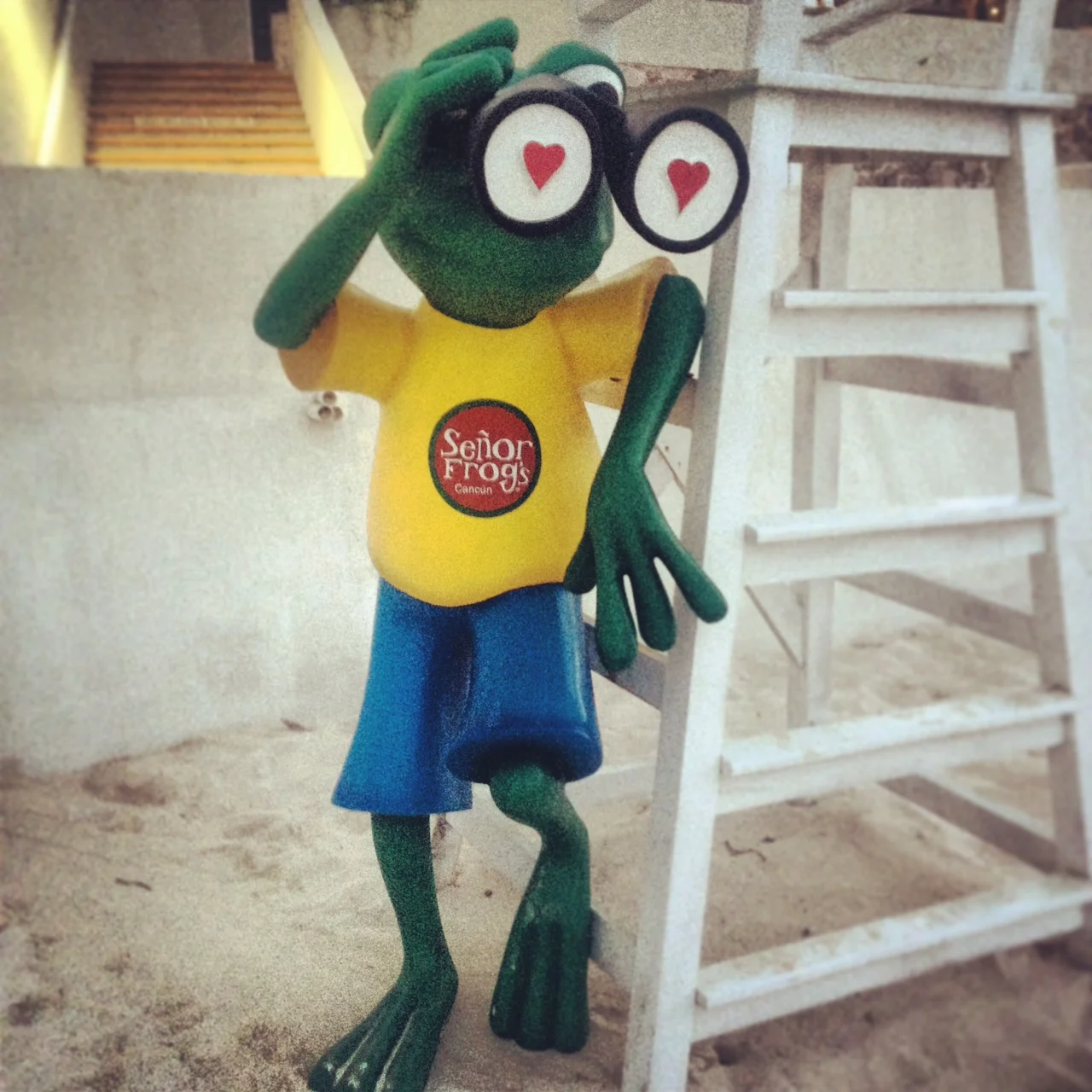 seniorfrog.JPG