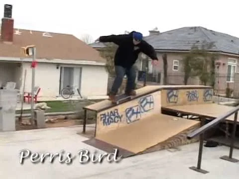 Friends Section - Out of Focus