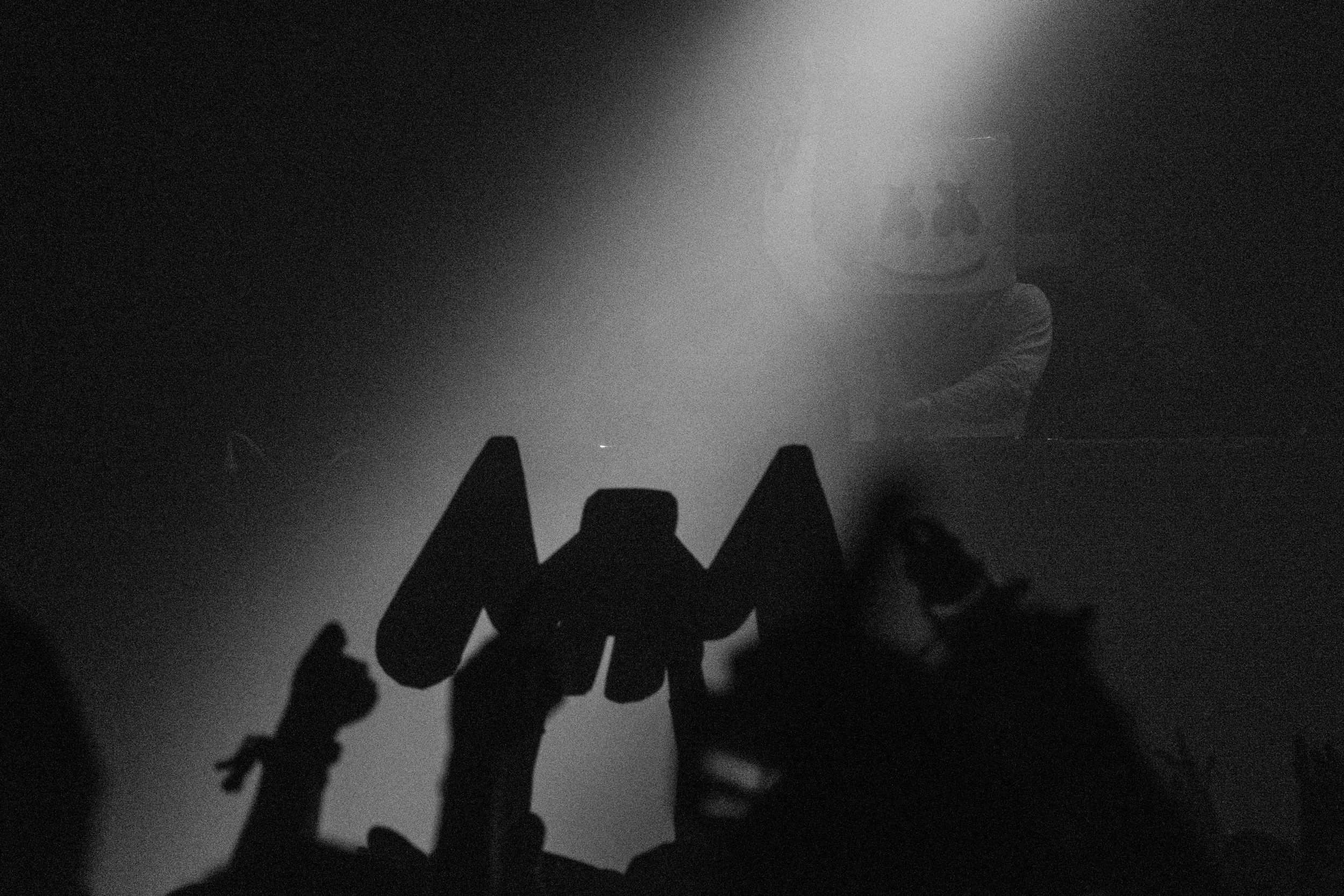 Marshmello @ HDOTD 2015