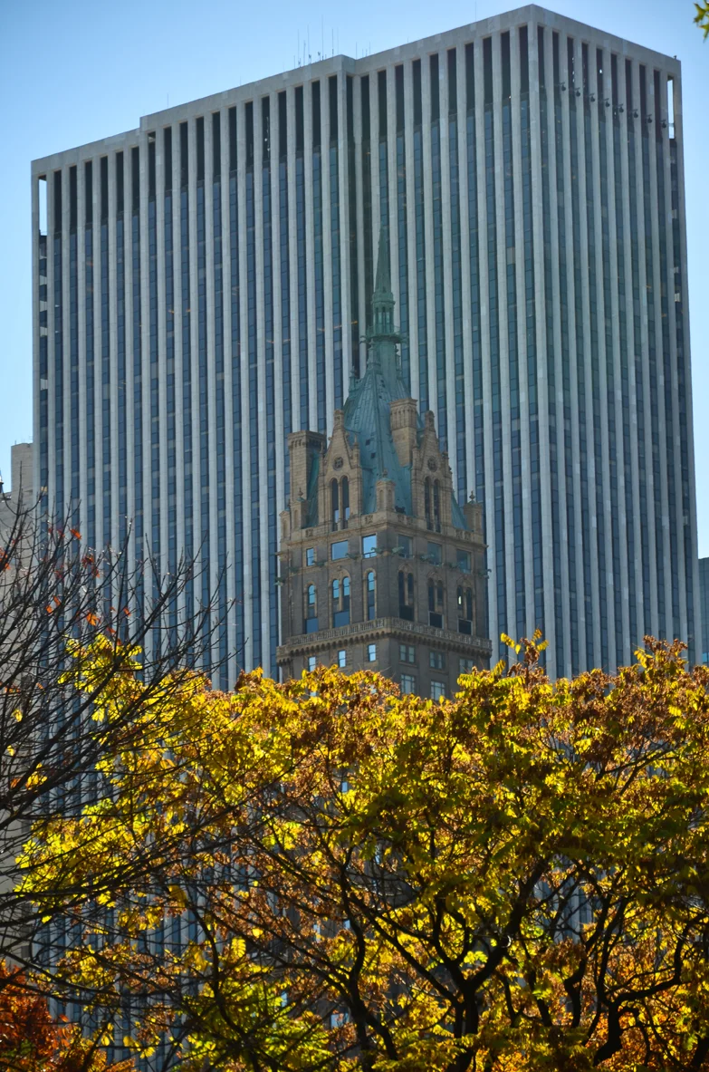 CeNTRAL_PARK_AUSWAHL-19.jpg