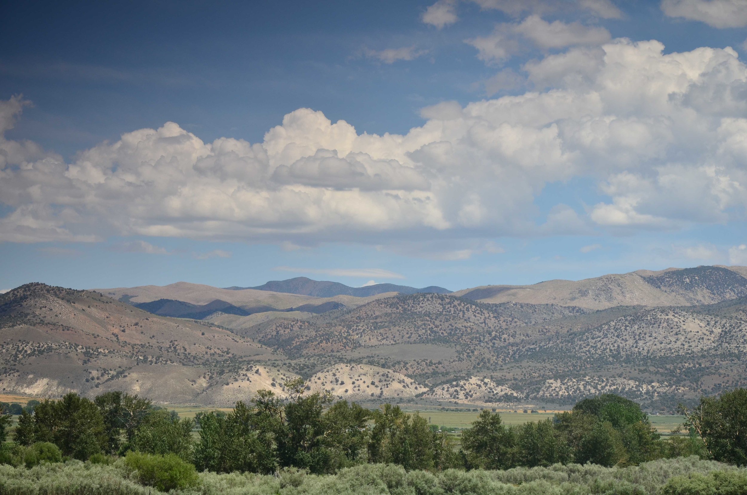 Monitor_Pass and Bridgeport11.jpg