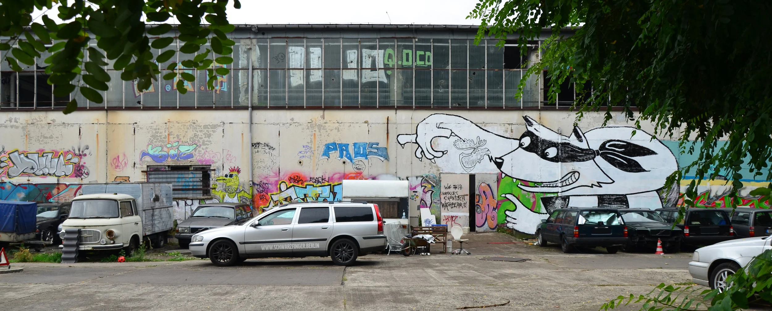 MURAL_Waschbär_092017_300dpi_CC-BY-SA_Jenni_Ottilie_Keppler-7.jpg