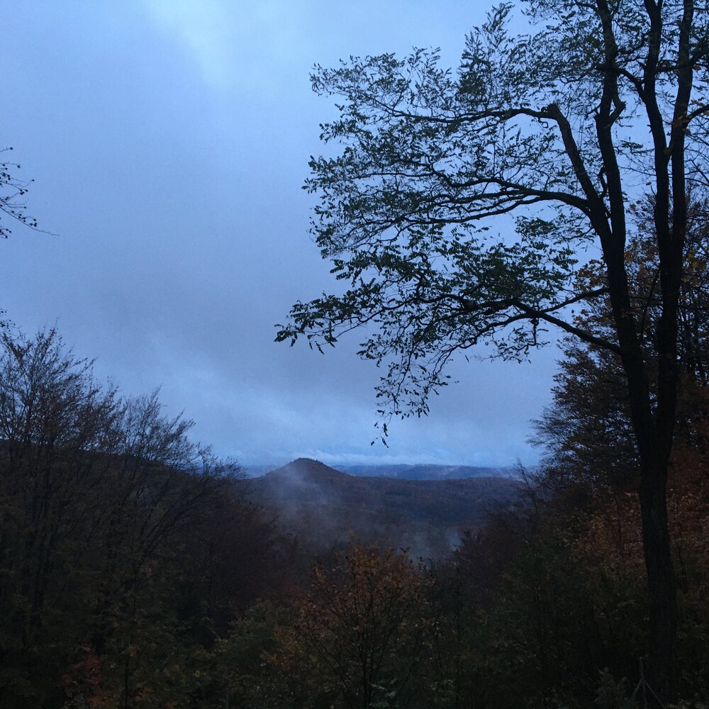 View from the forest cabin over the core zone of the Biosphere Reserve