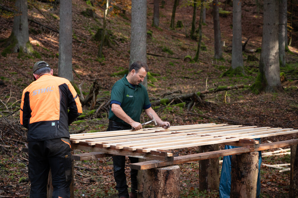 Bergwaldprojektwoche_Pfaelzerwald_102020_CC-BY-SA_Jenni_Ottilie_Keppler-090.jpg