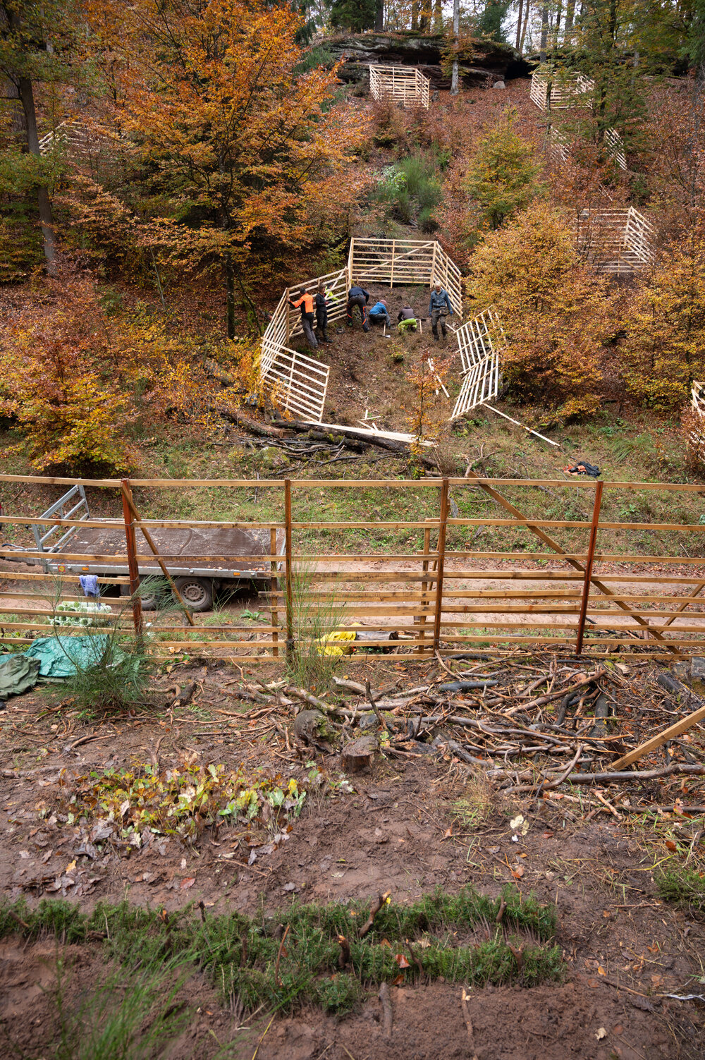 Bergwaldprojektwoche_Pfaelzerwald_102020_CC-BY-SA_Jenni_Ottilie_Keppler-163.jpg