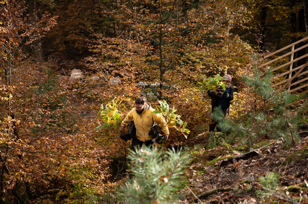 Bergwaldprojektwoche_Pfaelzerwald_102020_CC-BY-SA_Jenni_Ottilie_Keppler-024.jpg