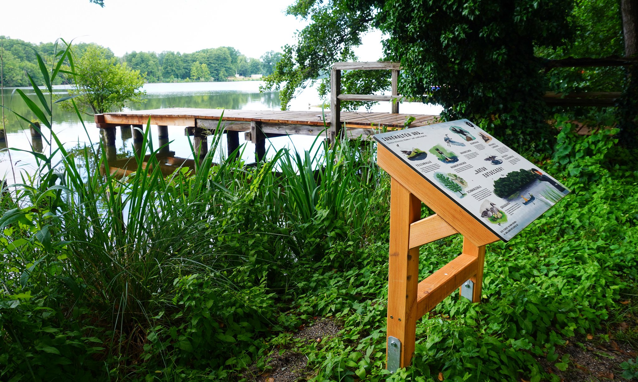 Naturschautafel für Lehniner Institut für Kunst und Kultur 