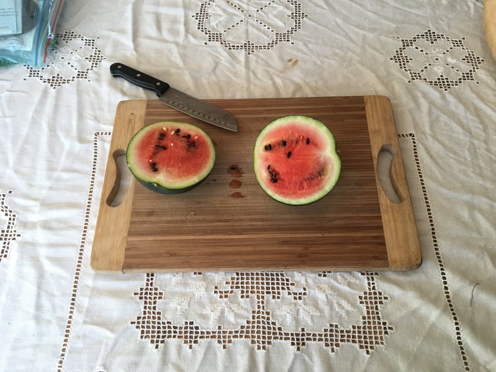 Celebrating my Evaluation Workshop with a Garden watermelon