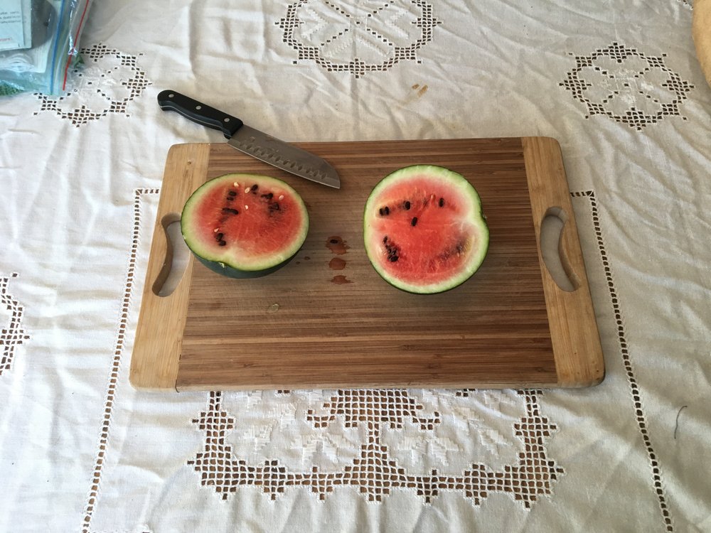 Celebrating my Evaluation Workshop with a Garden watermelon