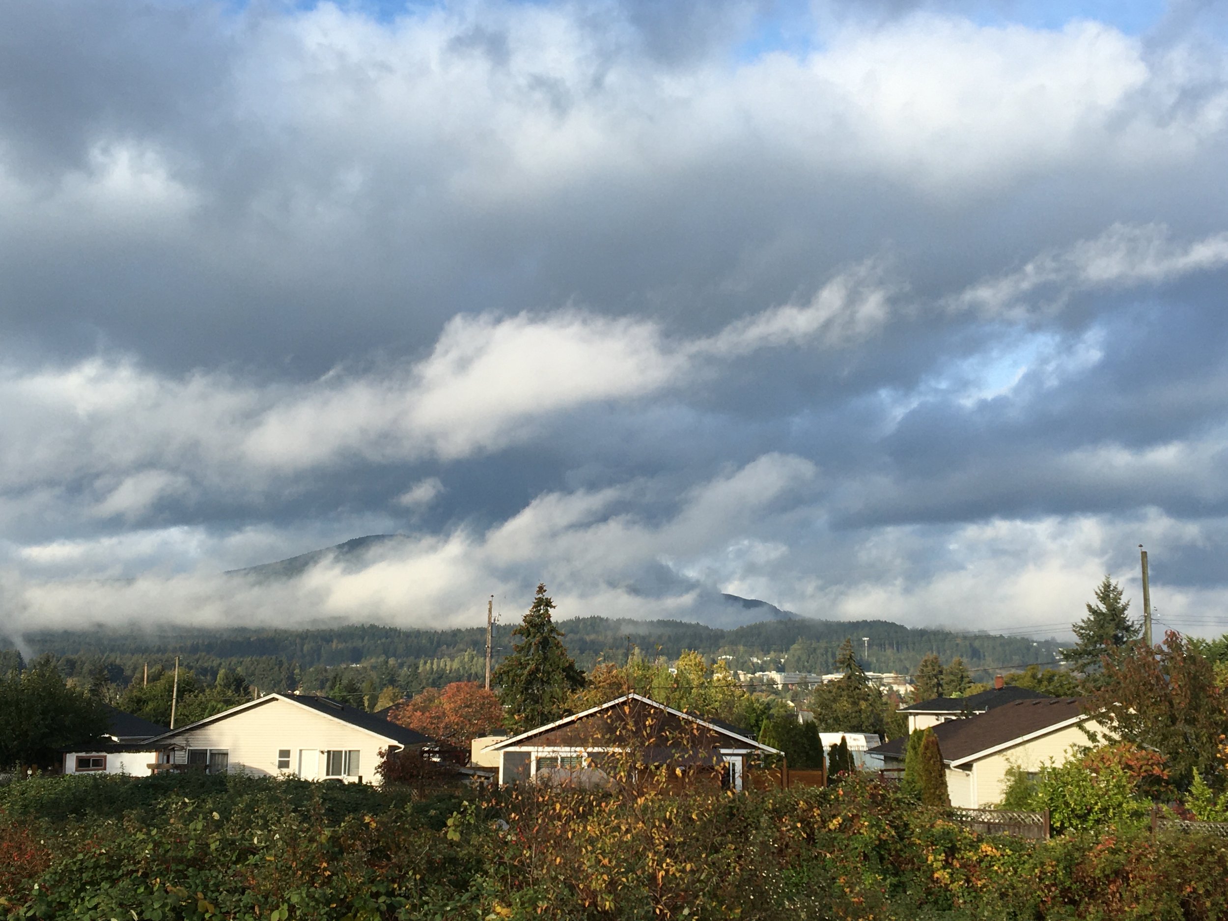 Look towards Mount Benson from our street