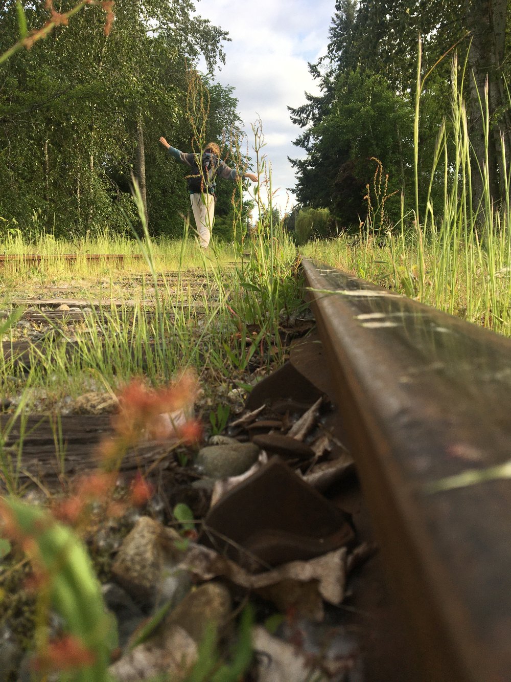 Railroad tracks behind the house