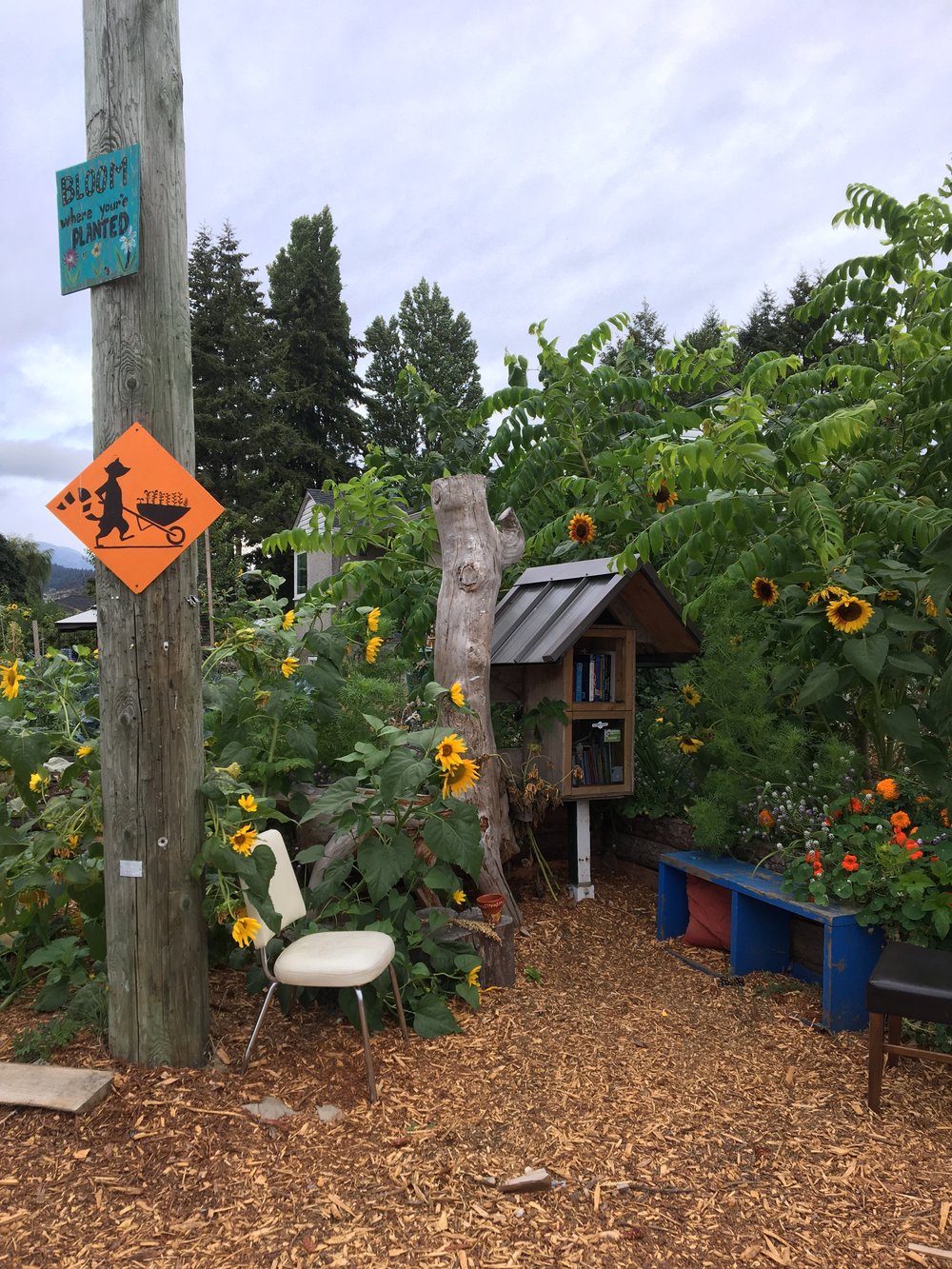 Neighborhood little free library