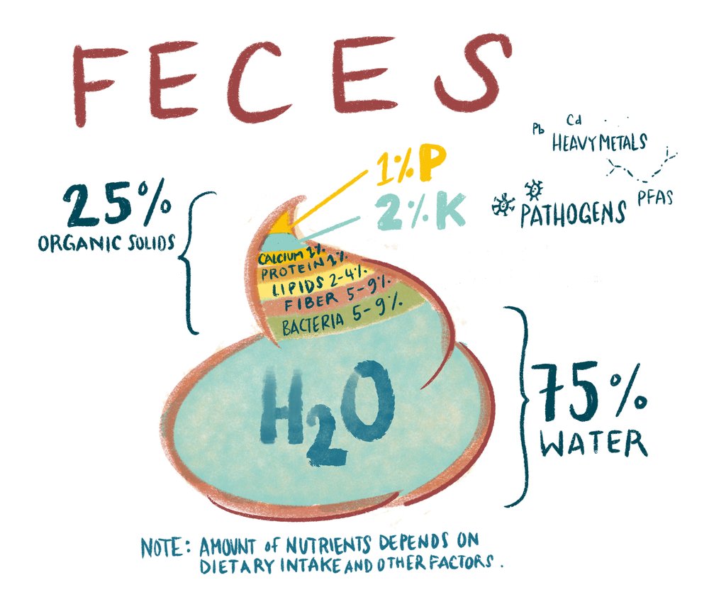 Composition characteristics of feces (Kopie)