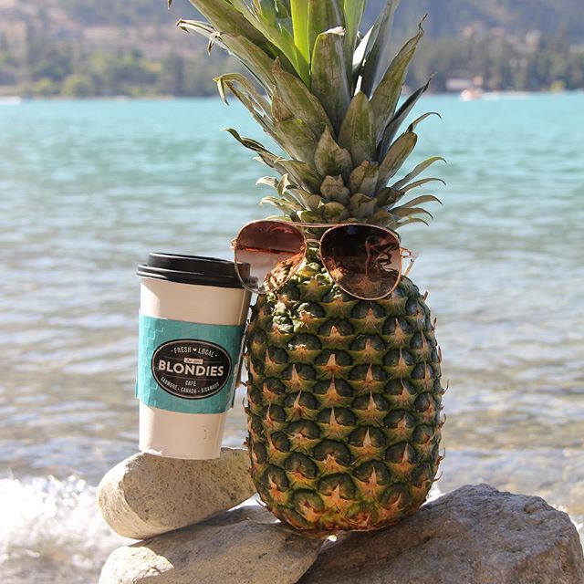 Suns out pineapples out! 🍍 pineapple Joe rolled out of bed and got his morning coffee in hand ☕️