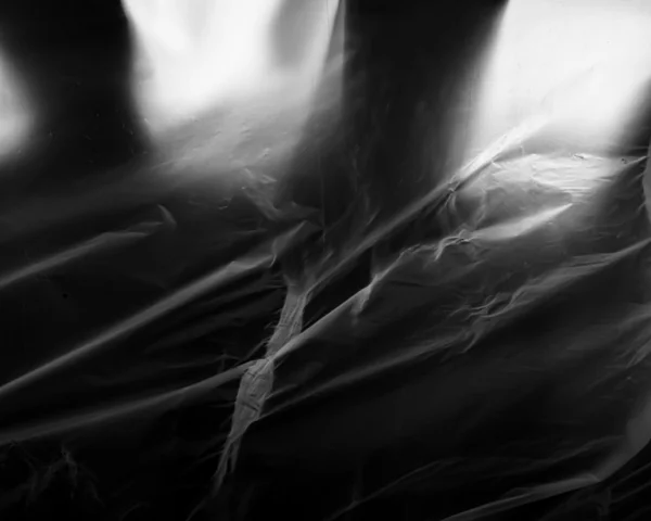 Windswept-.jpg